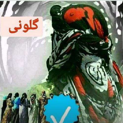 امین فالجی گلونی